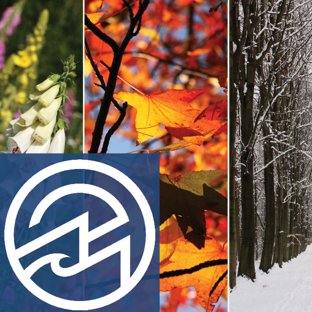 Seasonal Affective Disorder Mountain Pacific