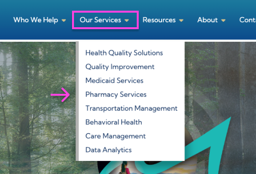 Navigate our site by our services example image